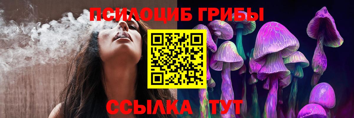 закладка  Псилоцибиновые грибы Psilocybe  Вход с VPN  Когалым 